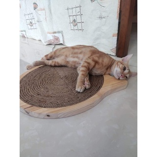 bàn cào móng cho mèo dây thừng