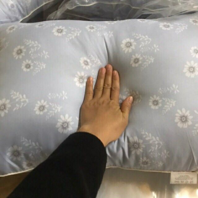 Set 01 chiếc ruột gối thương hiệu