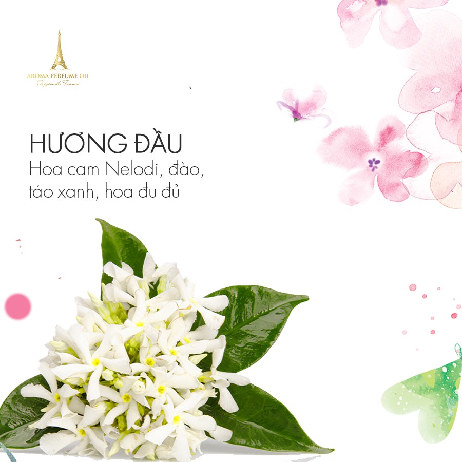 TINH DẦU NƯỚC HOA PHÁP AROMA DOLCE OIL 12ML | BigBuy360 - bigbuy360.vn