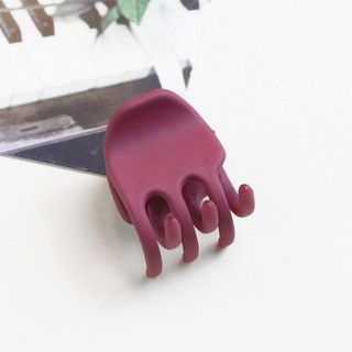 Kẹp tóc mini nhựa cao cấp