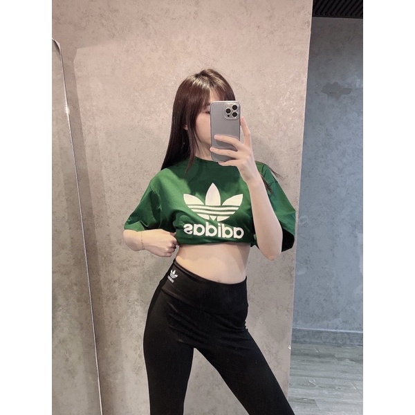 (HÀNG XUẤT XỊN) Áo xanh 3 lá mẫu basic