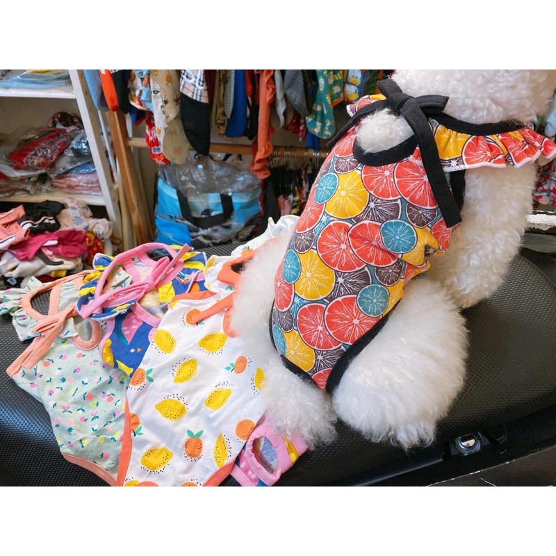 Bikini cho thú cưng/Quần sinh lý liền thân cho cún cái