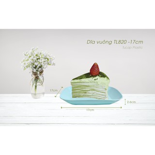 Dĩa vuông TỰ LẬP TL820-17cm