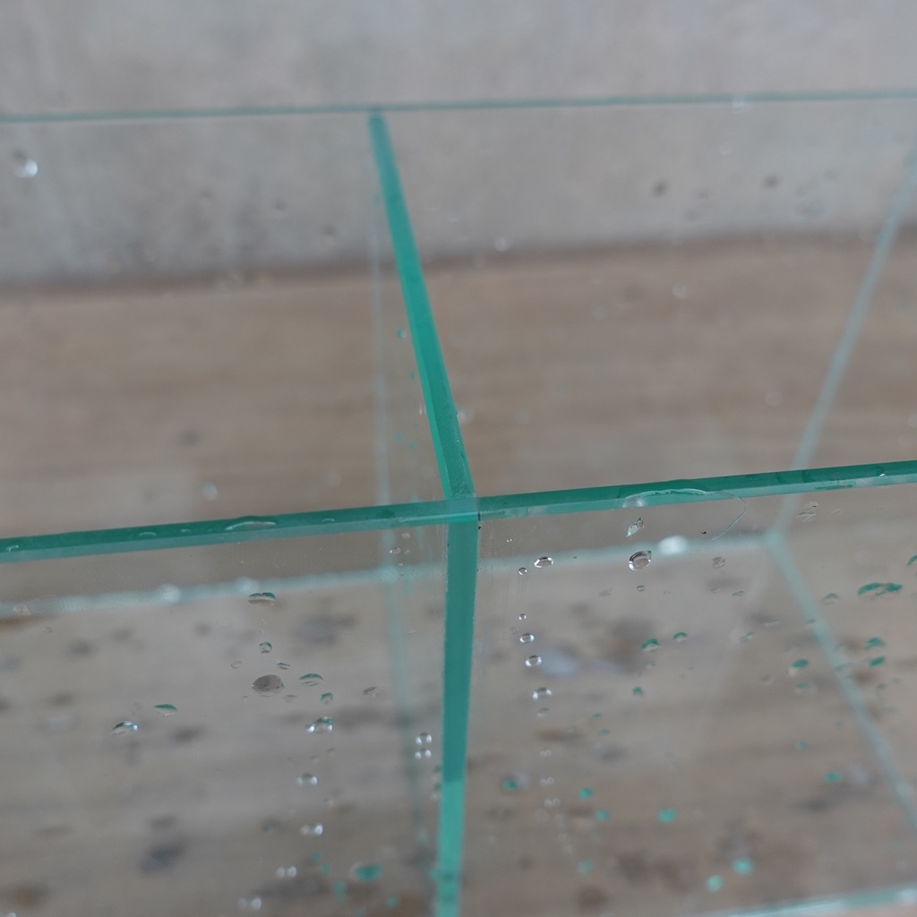 Bể cá Betta 2 ngăn kích thước 26x12x15 cm