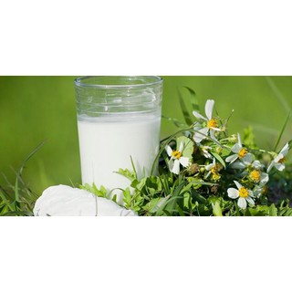 Bột sắn dây gói dùng thử 100gr