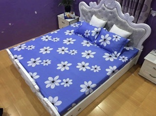 BỘ GA GỐI COTTON POLY