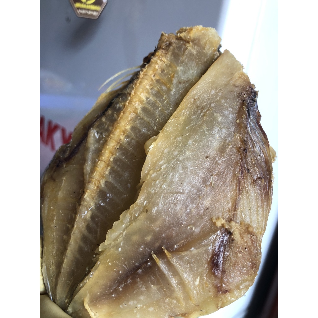 Khô cá đội đèn/ Cá sứa khô mặn dày thịt