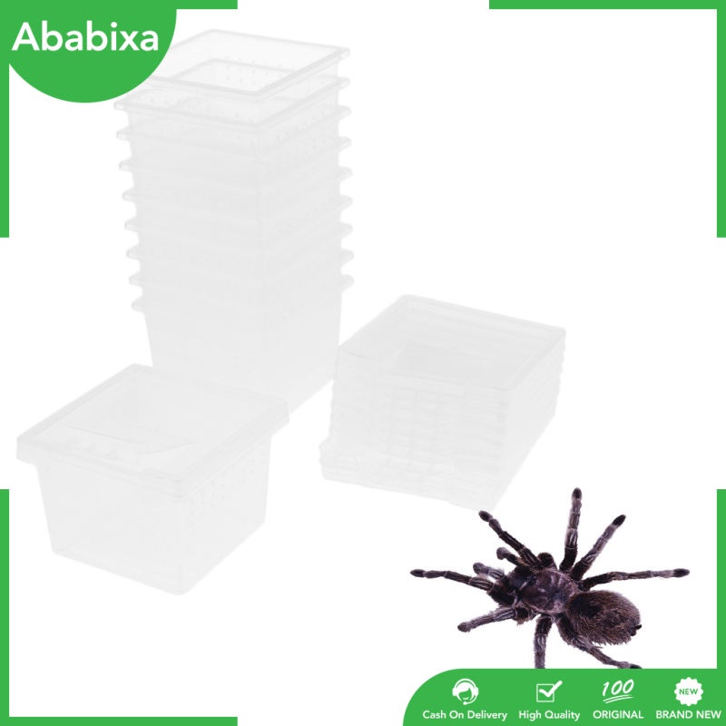Set 10 Hộp Đựng Thức Ăn Cho Bò Sát