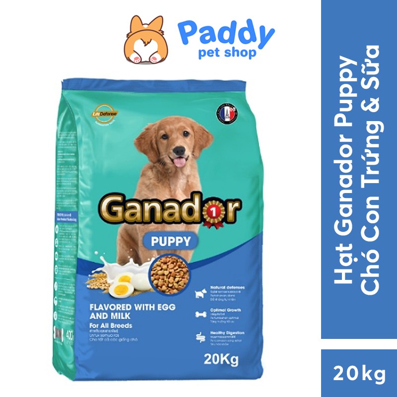 [20kg] Hạt Ganador Cho Chó Con Vị Trứng Sữa - Ganador Puppy EGG & MILK Bao 50 túi 400g