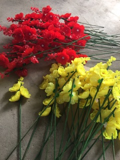 Combo nglieu làm hoa lan 19 cành