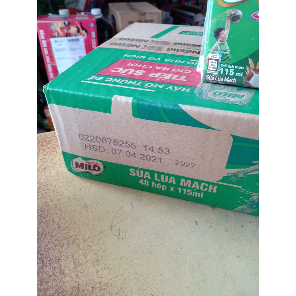 thùng sữa milo lúa mạch 115ml