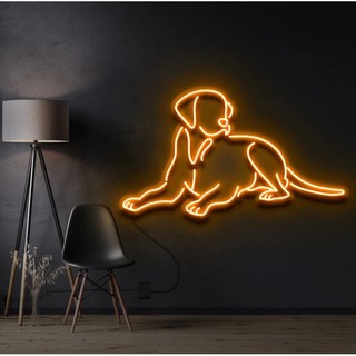 Đèn Led Thú Cưng 2