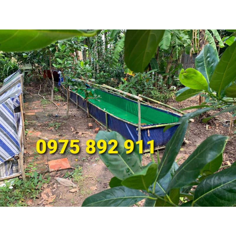 bể bạt nuôi ếch , cá ,lươn - 4x1x0,4