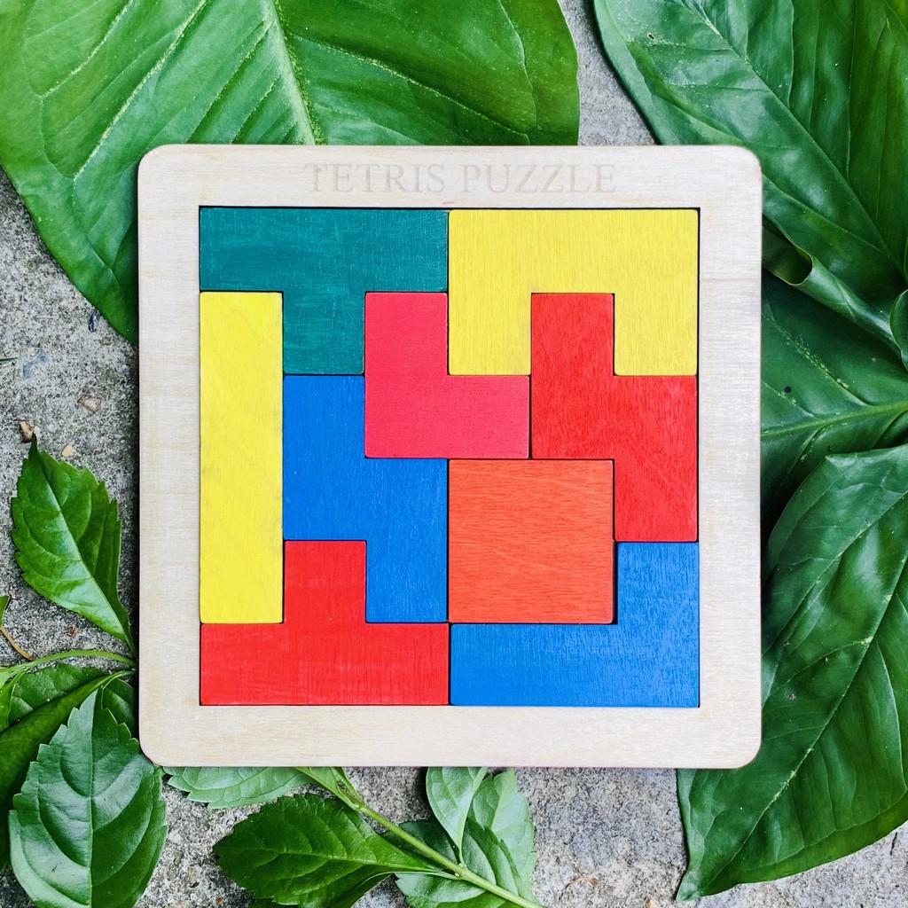 Đồ Chơi Gỗ Trò Chơi Xếp Gạch Tetris Montessori Phiên Bản Màu Sắc Cho Bé Rèn Luyện Sự Khéo Léo Và Tư Duy Logic