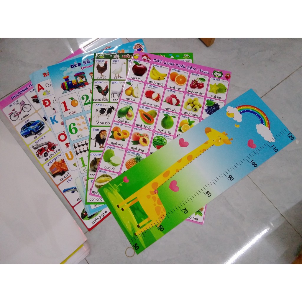Decal dán tường cho bé  (6 tờ: bảng chữ cái, đếm số, con vật, trái cây, giao thông, thước đo) decal nhựa | BigBuy360 - bigbuy360.vn