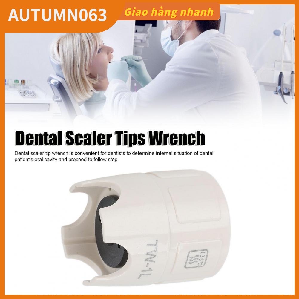 Nha khoa Siêu âm Scaler Mẹo Cờ lê Đa năng Làm sạch Răng Xoắn cho Phòng khám Autumn063