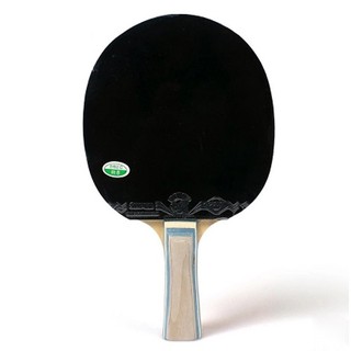 Vợt Bóng Bàn 729-1060