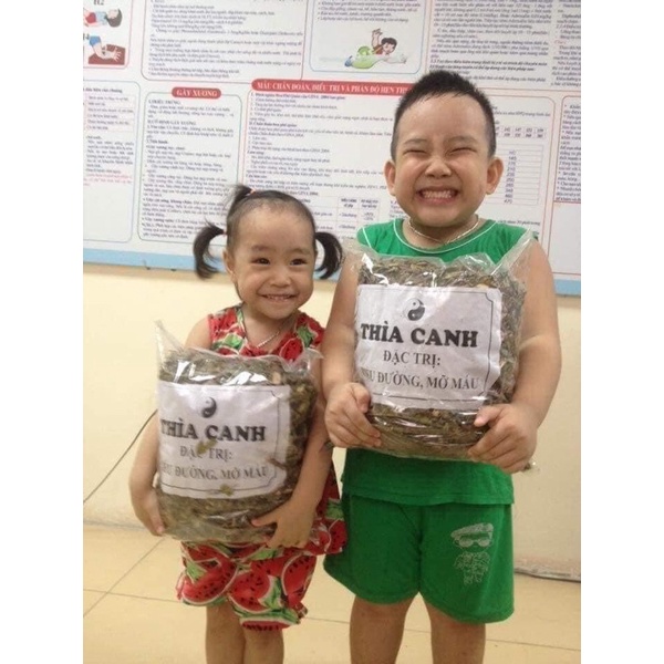 Dây thìa canh khô 1kg hạ đường huyết