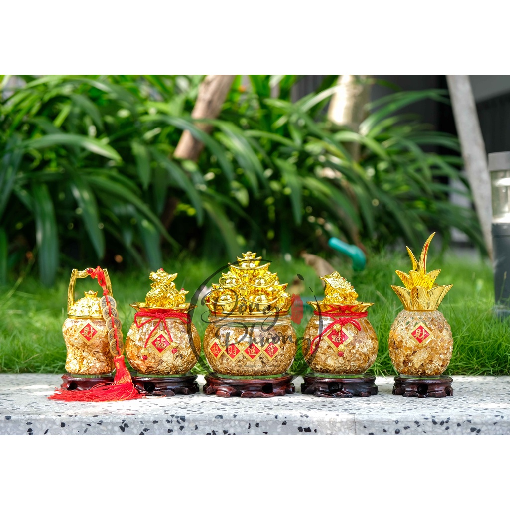 Chậu Vàng Lá Tài Lộc - Trái Thơm Vàng Nước - Chậu Tỳ Hưu - Chậu Cóc Thiềm Thừ Tài Lộc May Mắn - Chiêu Tài Tấn Lộc