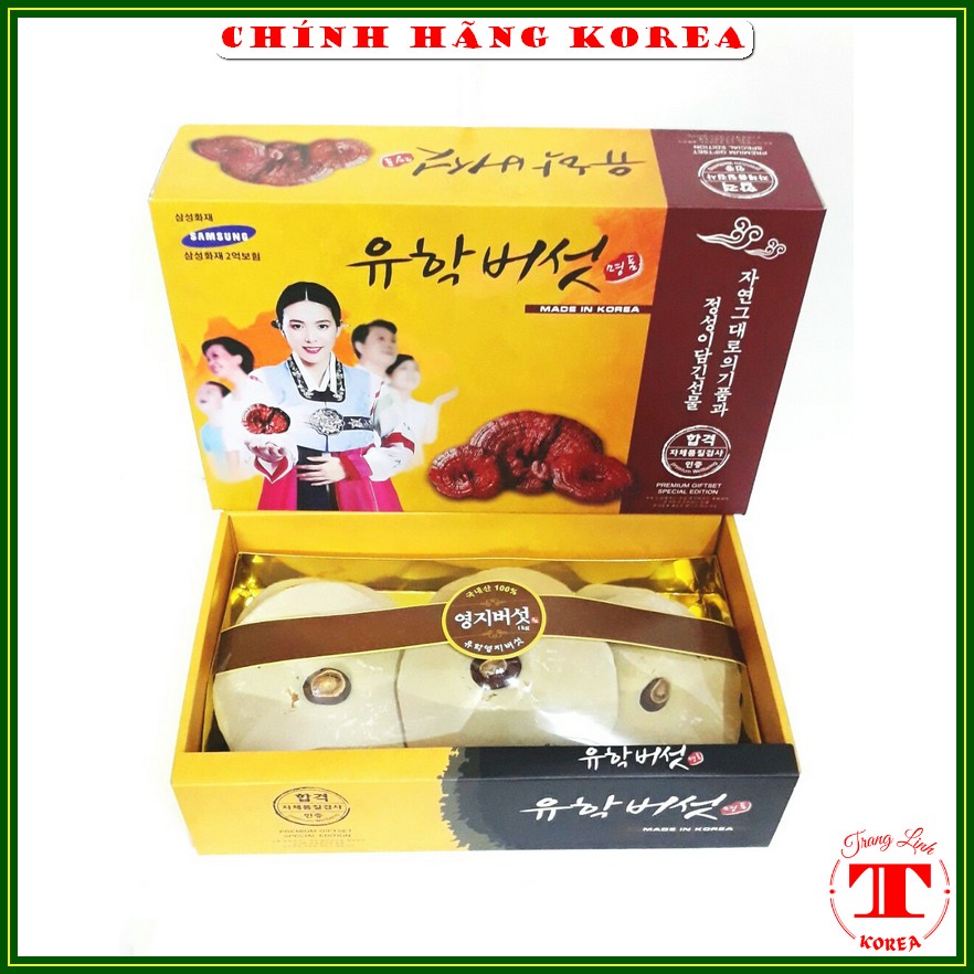 Nấm linh chi hàn quốc, hộp quà 1kg - Nấm linh chi sữa - Thải độc, thanh lọc cơ thể, phòng ngừa ung thư - tranglinh