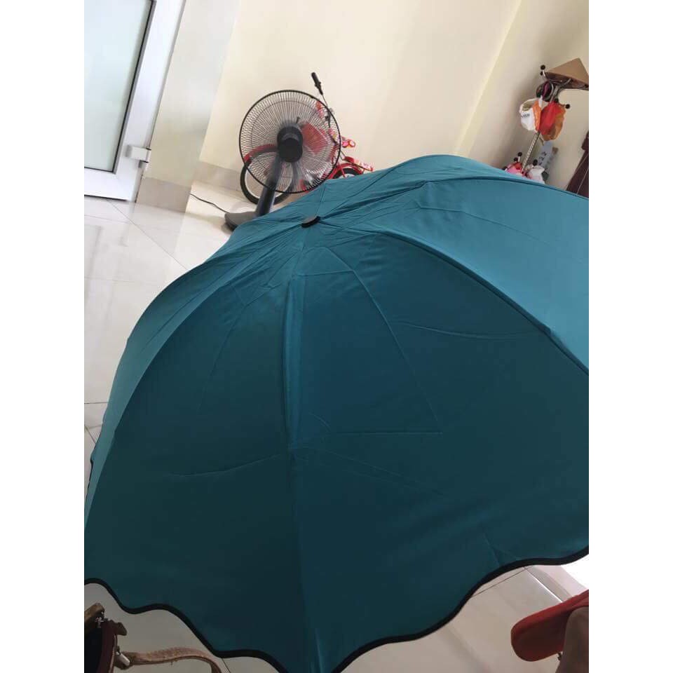 Ô gặp nước nở hoa
