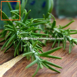 HẠT GIỐNG HƯƠNG THẢO Hạt Giống Nông Trại Xanh