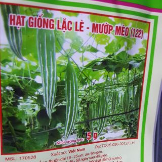 Hạt giống mướp nhật