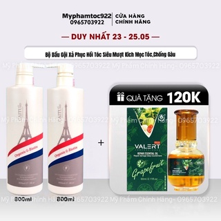 Dầu Gội Xả Caitu Kích Thích Mọc Tóc Phục Hồi Hư Tổn Chống Gàu Chống Ngứa 800ml  Hương Nước Hoa - gội xả caitu chính hãng