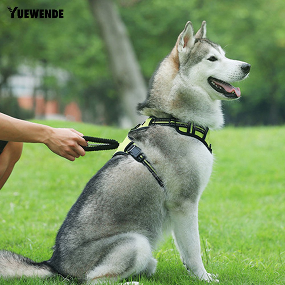 Áo dắt chó đi dạo có thể điều chỉnh thoáng khí phối dây buộc phản quang