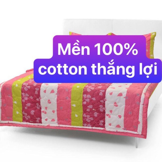 [ LOẠI 1] Mền Cotton Thắng Lợi Chần Gòn NHIỀU MÀU