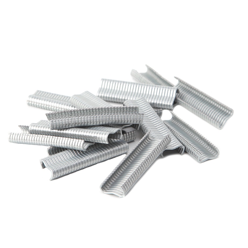 Bộ 600 đinh ghim chữ M chuyên dụng cho làm lồng chim/thỏ/thỏ