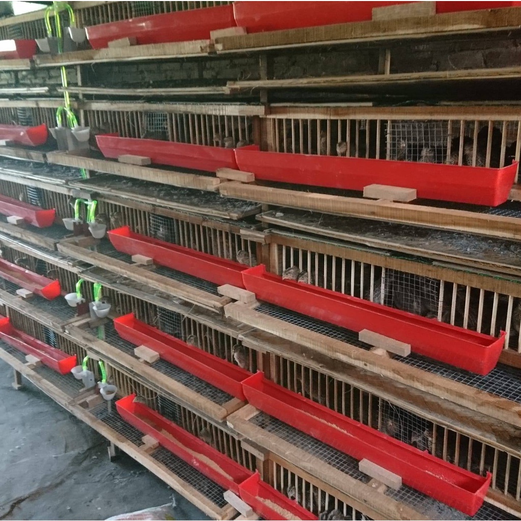 Máng ăn cho gà, chim nuôi lồng