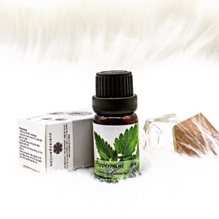 Tinh dầu bạc hà – Pepermint Oil