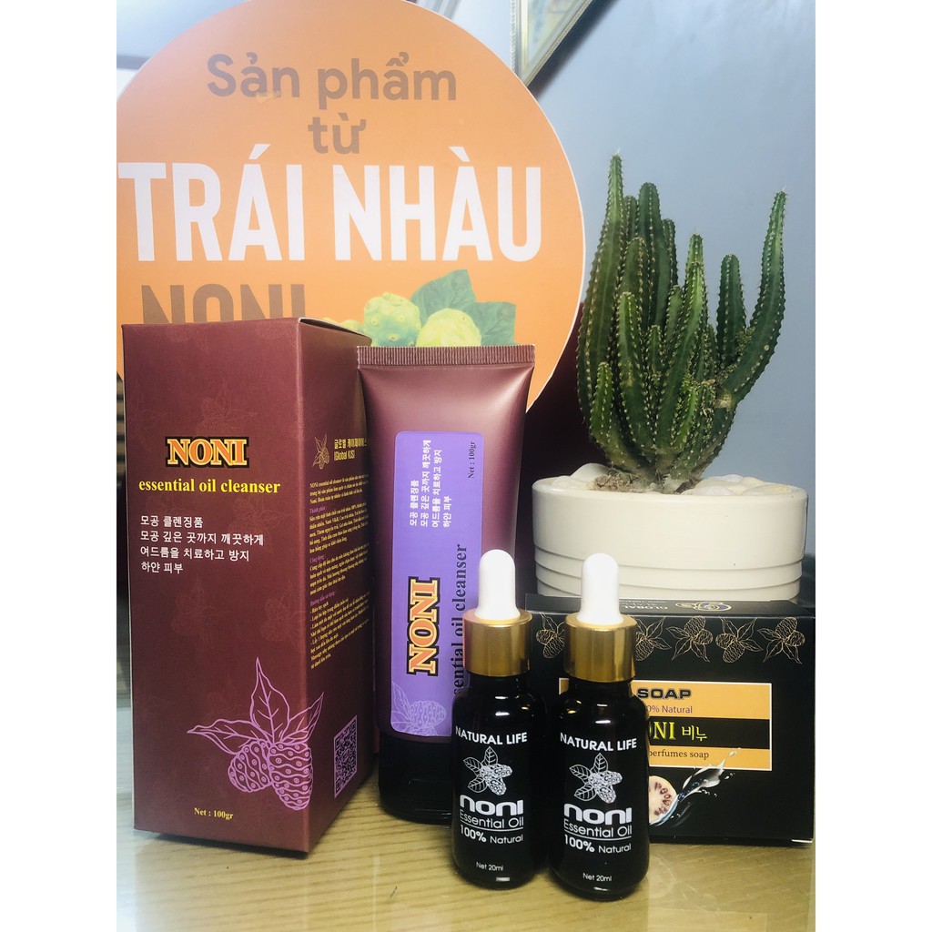 TINH DẦU TRÁI NHÀU - NONI OIL | BigBuy360 - bigbuy360.vn