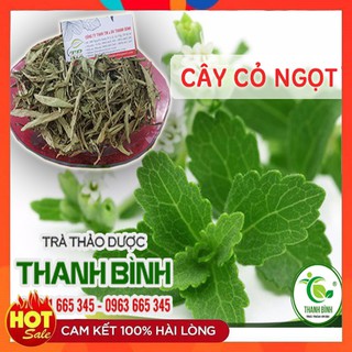 Cây Cỏ Ngọt Khô 1Kg _Thanh nhiệt giải độc hiệu quả
