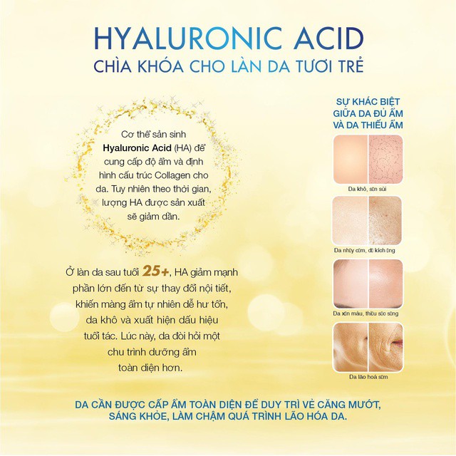 Kem dưỡng ẩm toàn diện Hada Labo Advanced Nourish Supreme Hyaluron Cream 50g