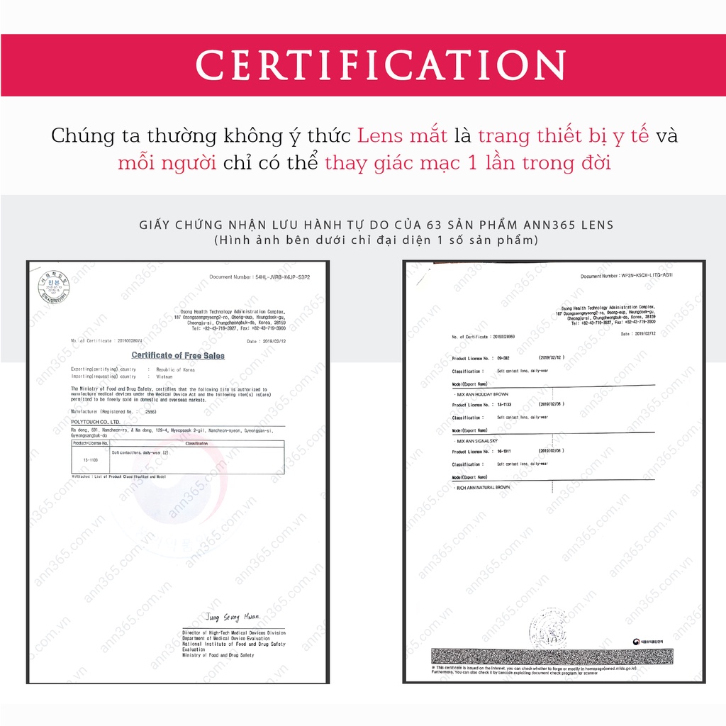 Lens 1 Ngày ANN365 Đẹp Cho Cô Dâu, Kính Áp Tròng Cho Cô Dâu (Độ Cận 0.0 - 8.0)