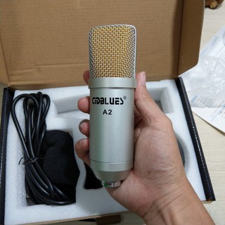 Micro Thu âm hát Karaoke A2 dành cho sound card