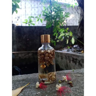 Tinh dầu tràm hoa nén