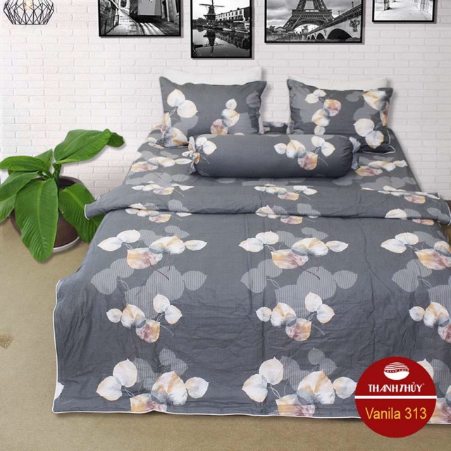 Mền + Bộ drap hộp - M313- size 1,6m,1,8m