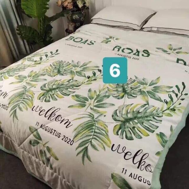 Chăn đũi hè ZARA
