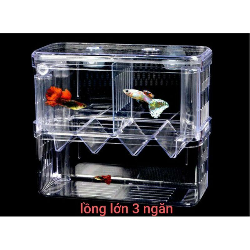 Lồng dưỡng cá, tách cá đẻ