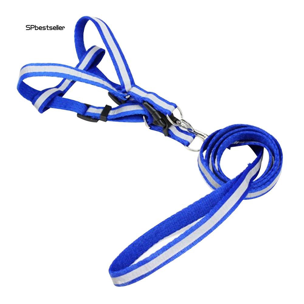 Dây đeo dắt thú cưng đi dạo thoải mái