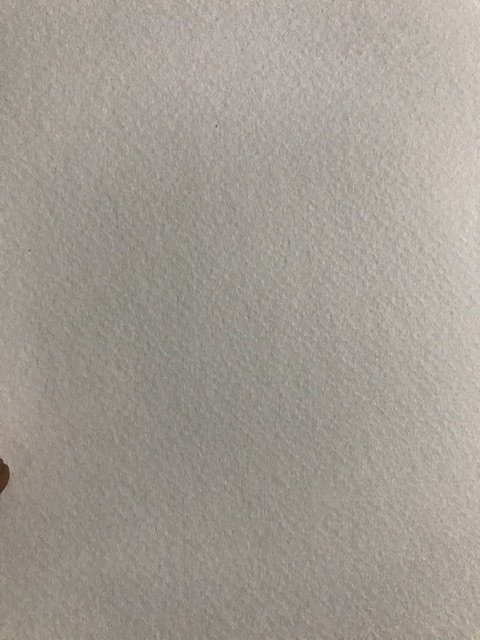 [Hàng cao cấp] [10 tờ A4] Giấy vẽ màu nước Canson dày 250gsm