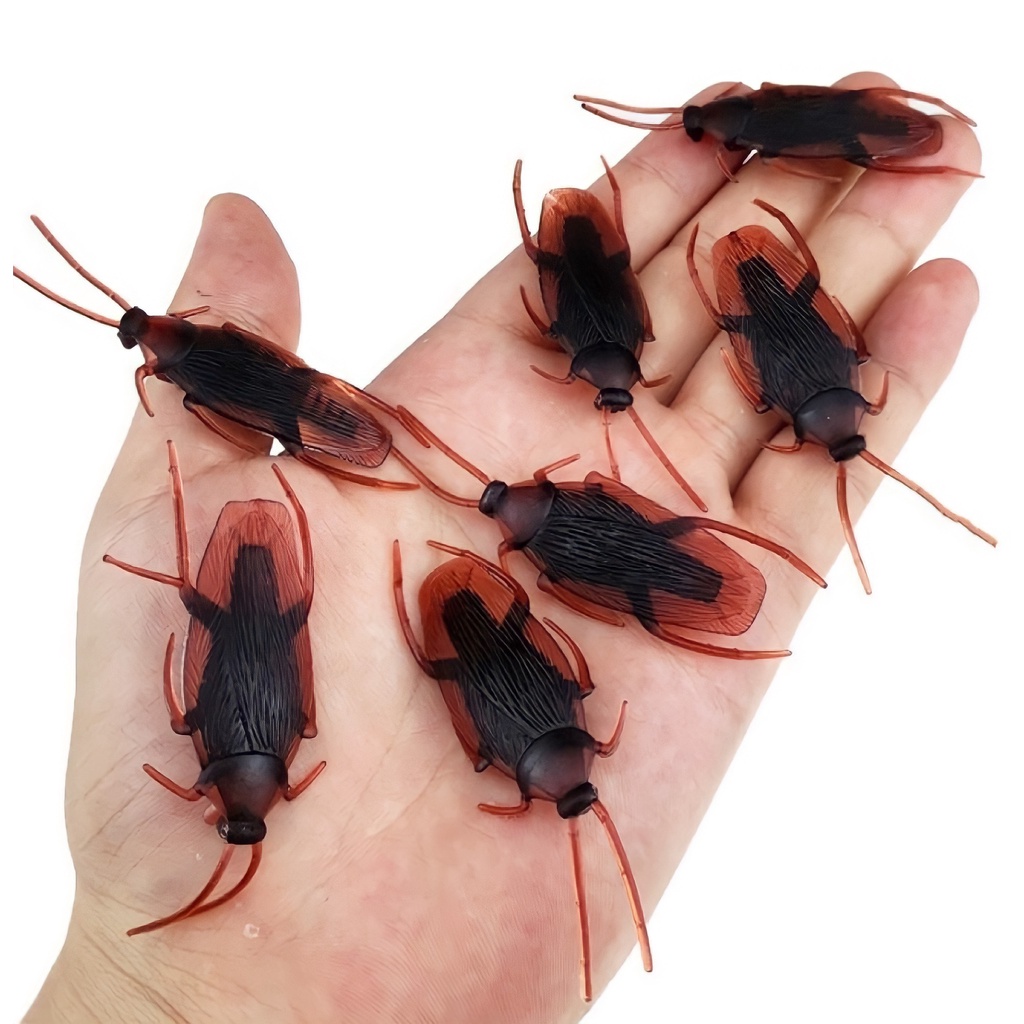 Con Gián Đồ Chơi Cho Chó Mèo
