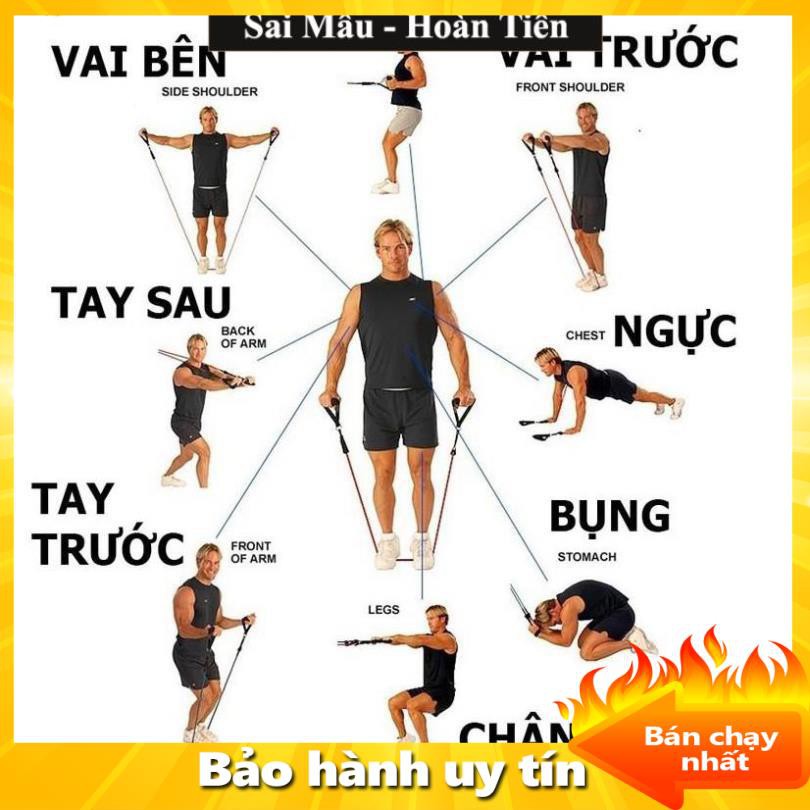 ✔️Dây tập gym tại nhà, dây đàn hồi tập gym, tập gym tại nhà, Bộ 5 Dây Đàn Hồi Tập Thể Hình  - Freeship