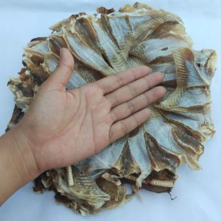 Khô cá đuối lồi loại lớn, gói 500g - 1kg ảnh tự chụp