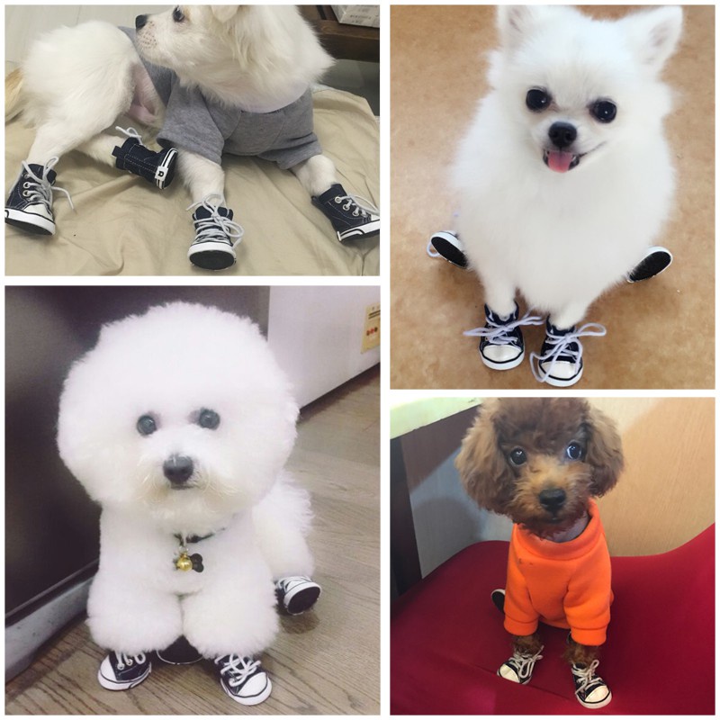 ❖Giày chó không thấm nước bốn mùa Giày Teddy bộ 4 giày cún chó nhỏ hơn chân gấu b