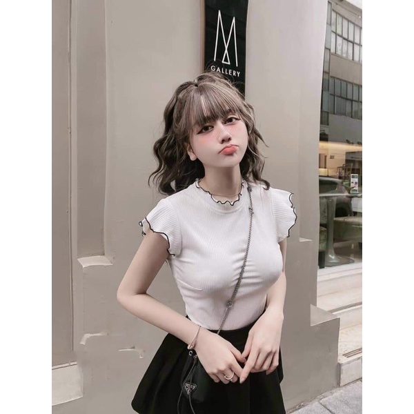 Áo thun nữ tay ngắn cổ vuổng viền nổi siêu xinh MC