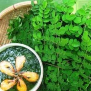 Hạt Giống Chùm Ngây 2gr